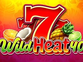 Wild Heat 40 screenshot